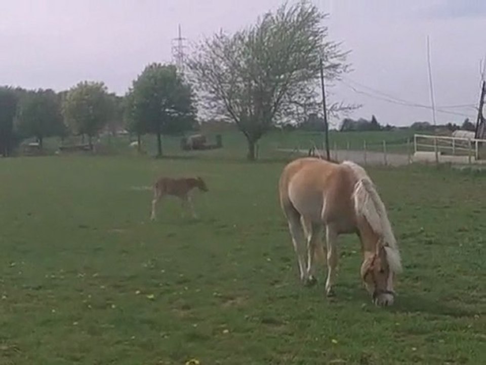 26 éme jours de vie de spirit
