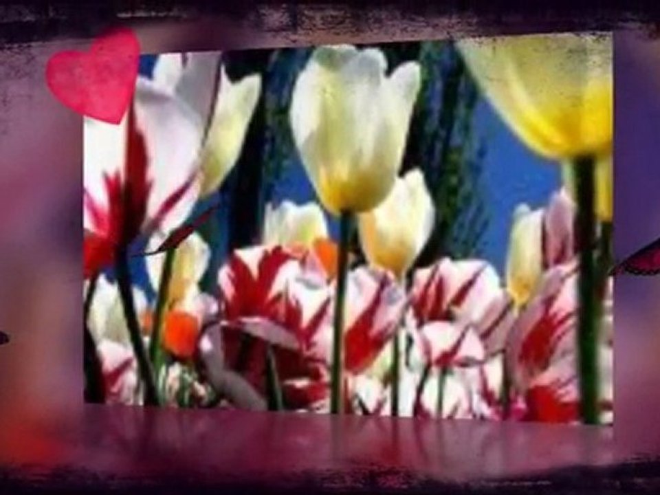 Berker qÖzlerime çizdim Seni...