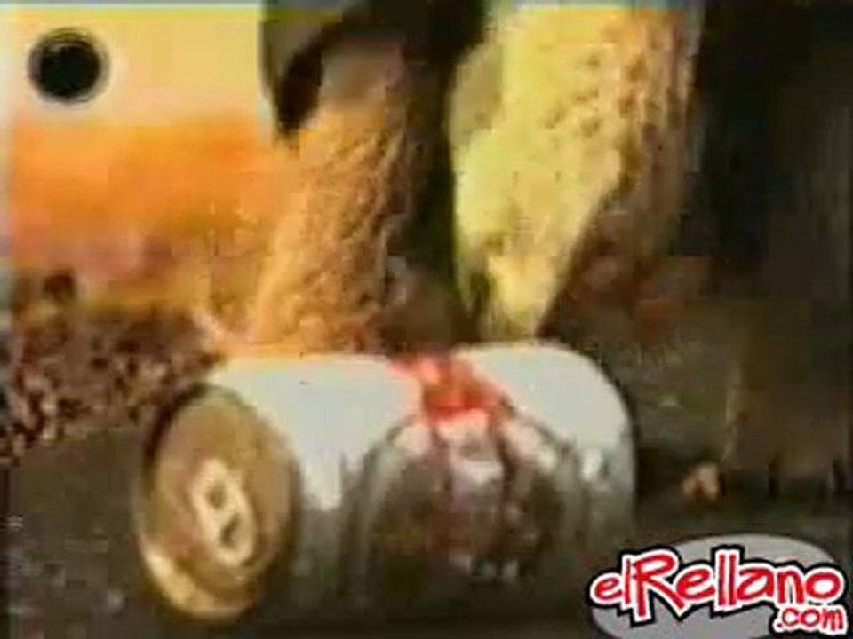 Pub Brahma [Fun] Tortue