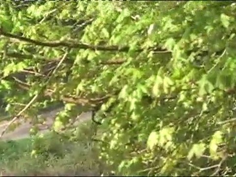 passages 106 S16 N2 PRAT MOLINES rallye Quercy 2010 ES1 3 6