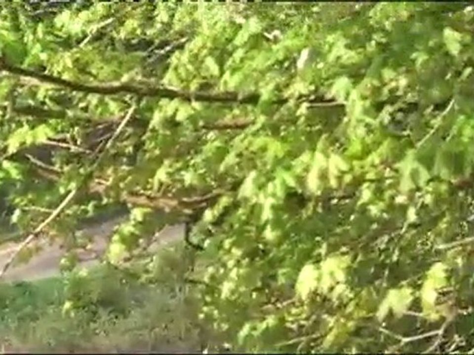 passages 106 S16 N2 PRAT MOLINES rallye Quercy 2010 ES1 3 6