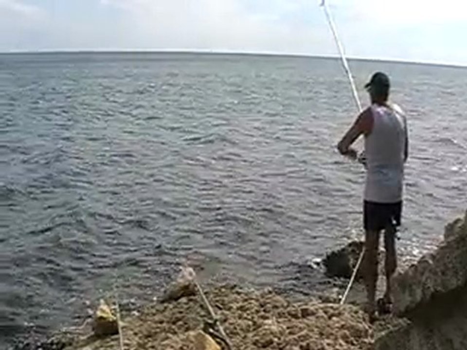 Sortie en direct d'une daurade ha ha ha!_converted