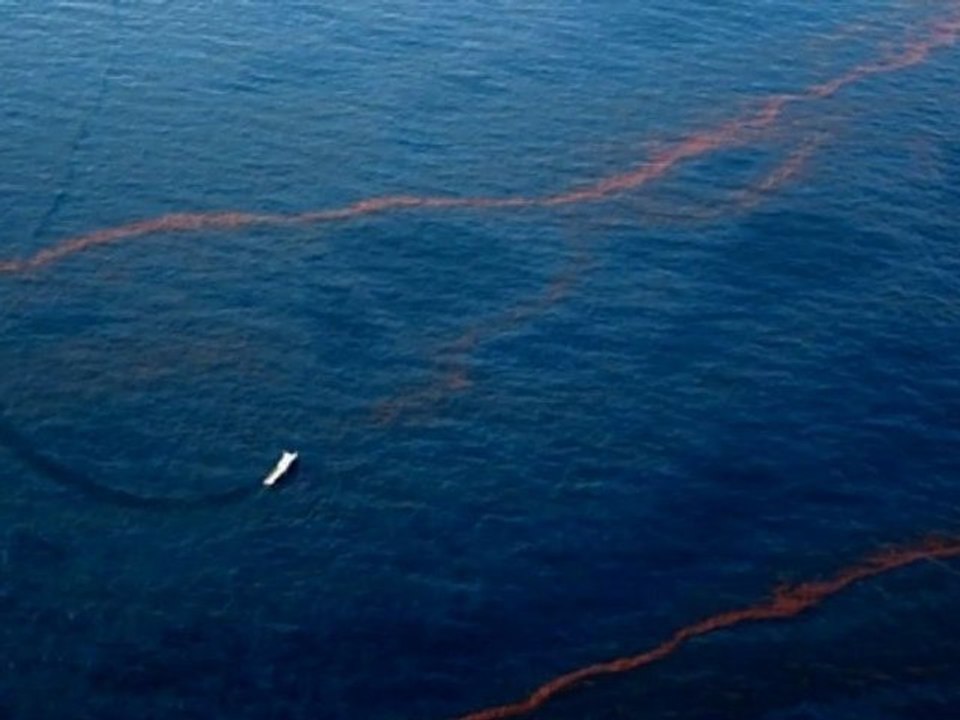 Louisiane : la pire marée noire des Etats-Unis ?