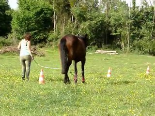 travail à pied 29 avril