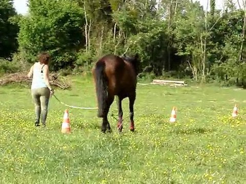 travail à pied 29 avril