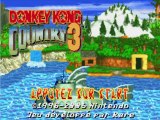Donkey Kong Country 3 (1) Les Kongs Sont De Retour !