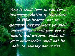 How do we know which is the real Church?