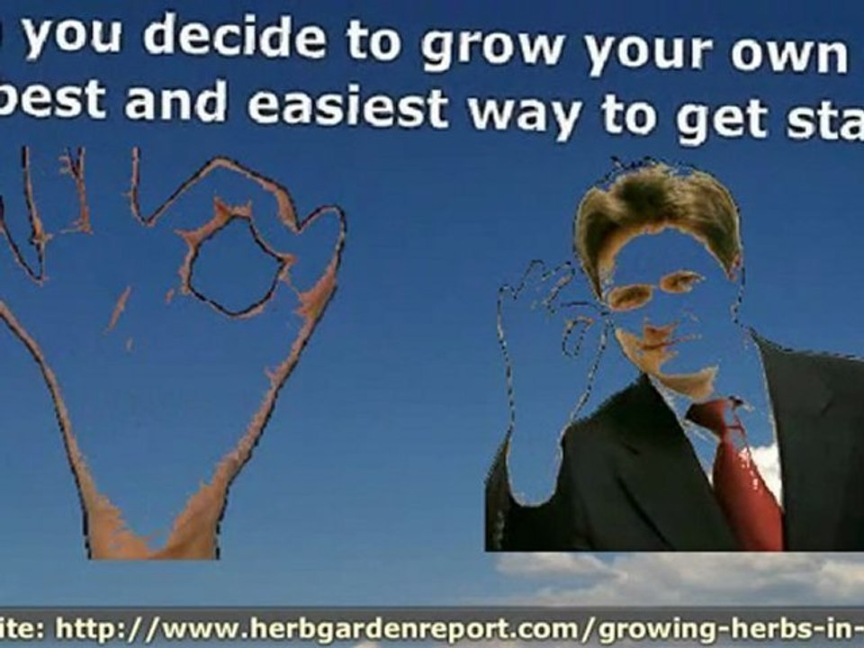 Herbs are that wonderful family of plants that has made life