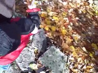 The Precious Moments of Life - Playing in autumn leaves