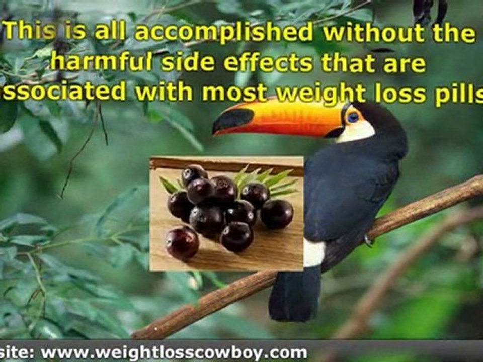 Acai Berry Weight Loss Supplement