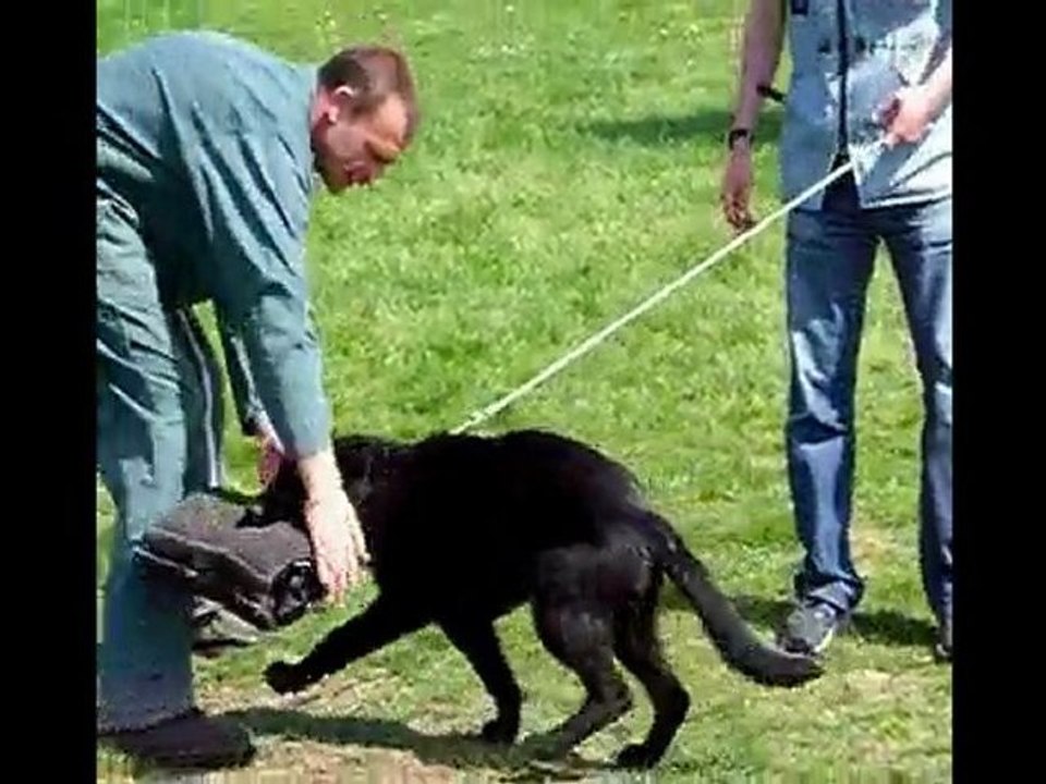 echo des collines du temps