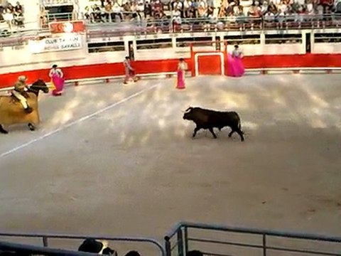 Corrida de Prieto de la Cal: Piques 6e toro