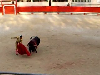 St Martin de Crau 2010: Mehdi Savalli à son 2d