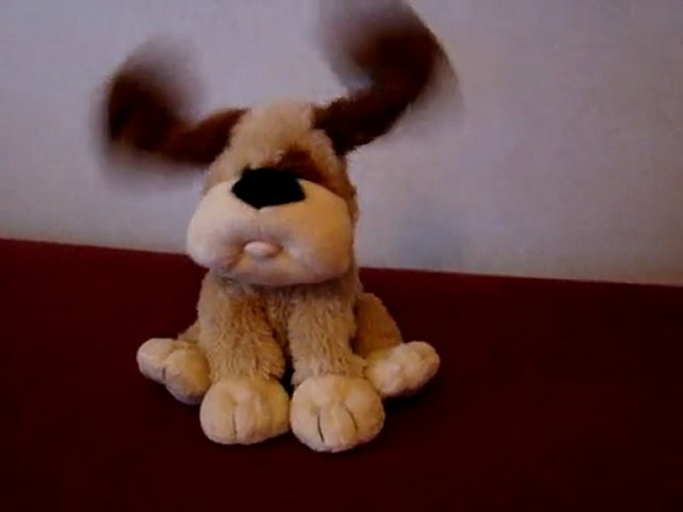Mon chien