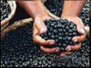 Ladies! Lose weight fast for Summer w Acai Trim - not a sca