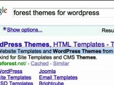 Wordpress Themes - Premium Blog Templates