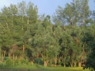 Başlamış Köyü