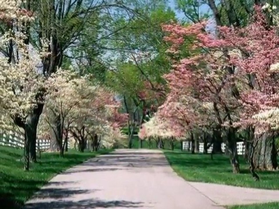 Les  Belles  Journées  du   Printemps