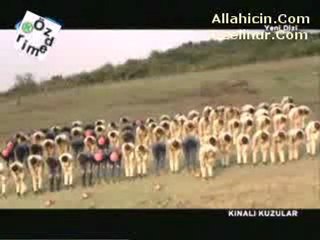 Kinali Kuzular Cuma Namazi