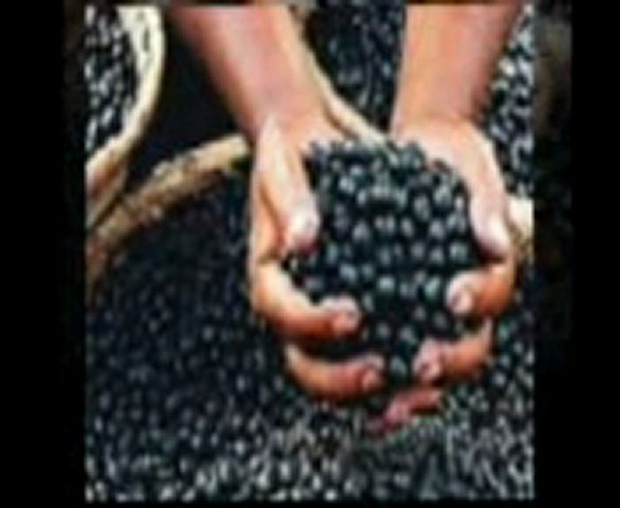 Ladies! Lose weight fast for Summer w Acai Trim - not a sca
