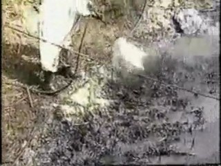 MPCD Petroleum Spill Clean Up