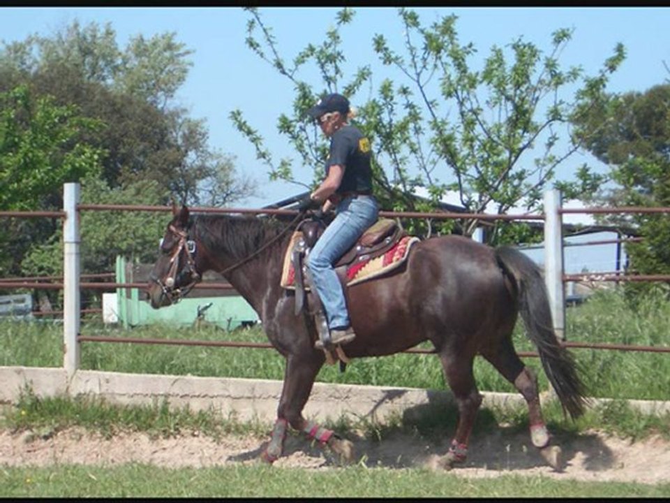 DEBOURRAGE DE PRINCE SILVER KING