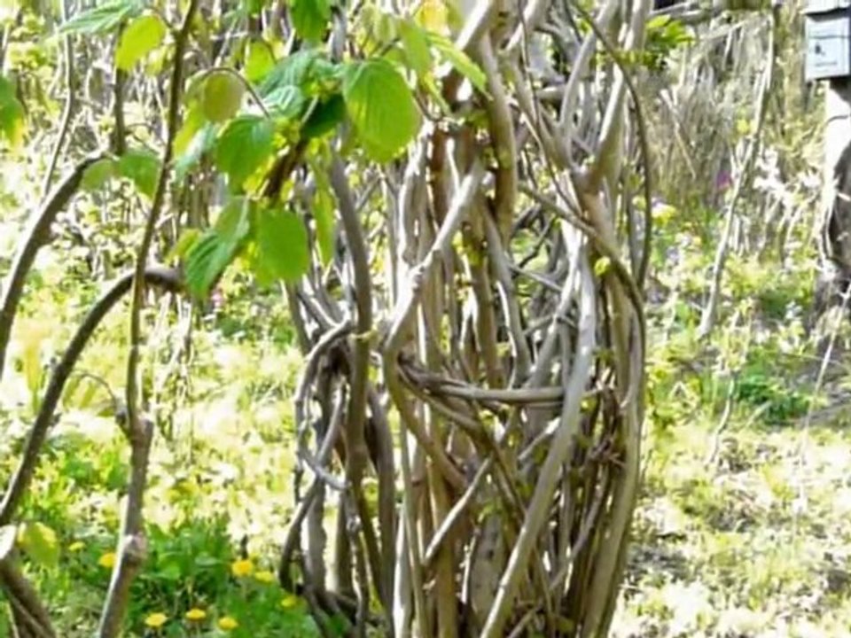 Sculptures-Vivantes en Métamorphoses-Printanière_chap 2