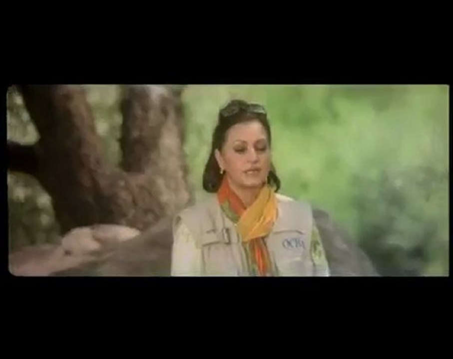 PAKISTANI NEW MOVIE SON OF PAKISTAN TRAILOR 3