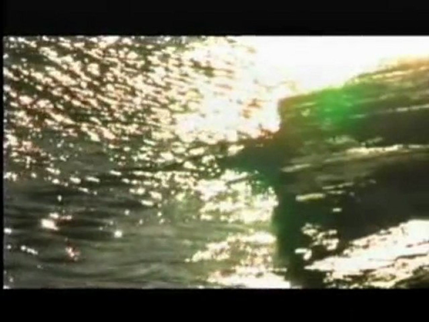 Water Pollution Documentary