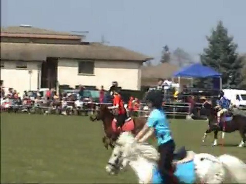 Peter Dale 2010 Tignieu Manche 2 Minis Poitou Charentes