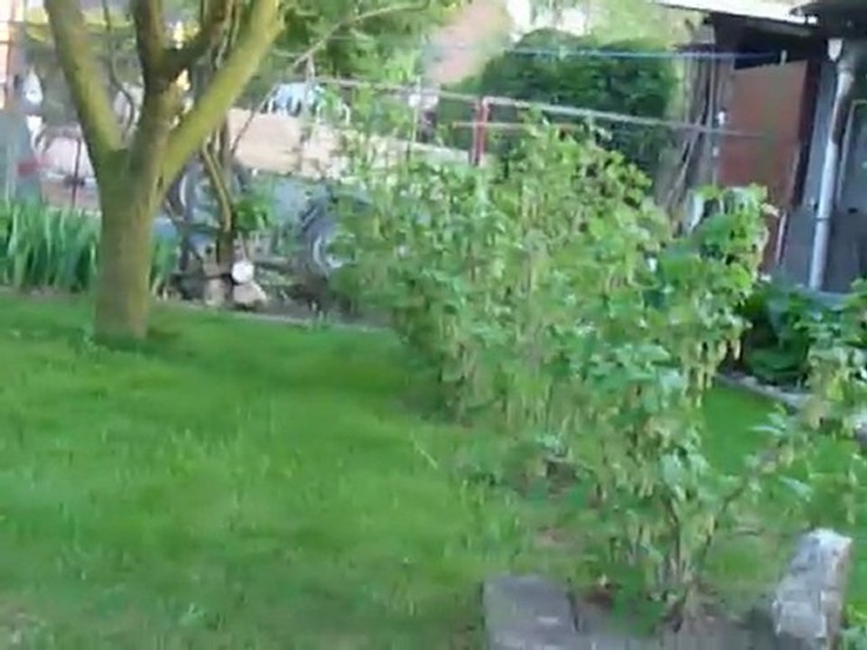 Le duel "Caly VS Fanta"