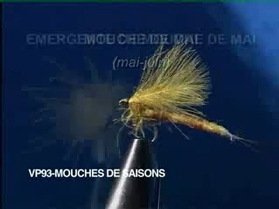MOUCHES DE SAISONS