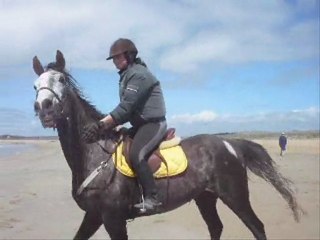 Plage, 25 avril 2010