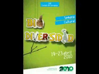 Semana Cultural 2010/Cine