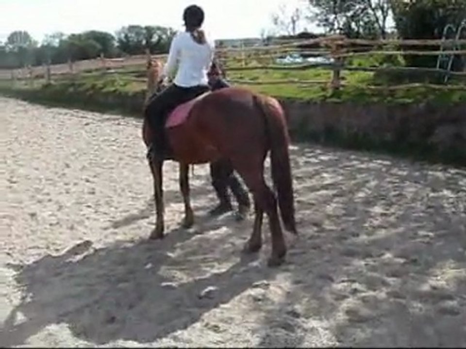 Débourrage Tempete : travail avec moi