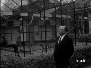 Hitchcock Speaks French to The Birds