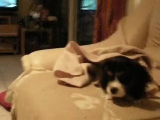 eleo aprés la douche