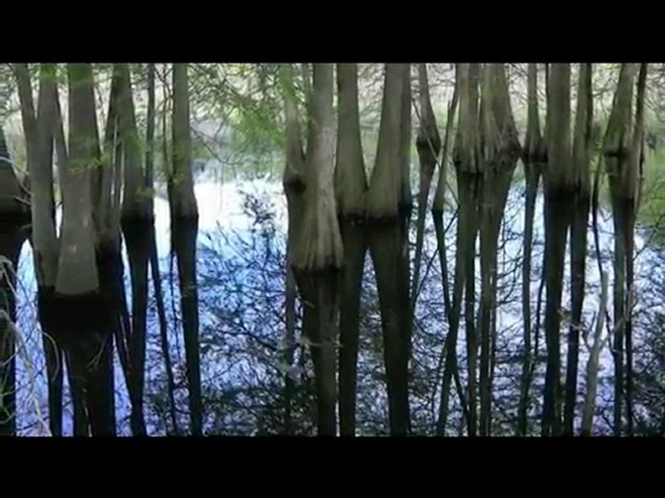 desaster louisiana ! oil years peace and love ...