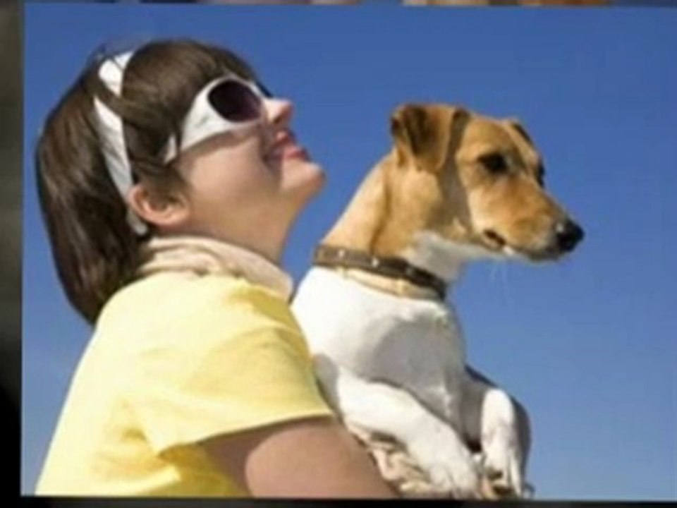 Proud Dog Health