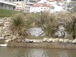 Foz Village Figueira