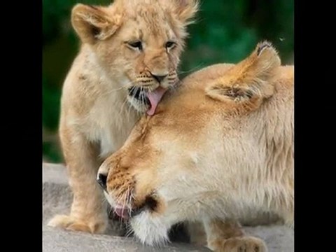 Annem ve Ömrüm Şiiri - Serkan Engin