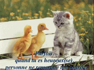 Et si l'on parlait l'amour