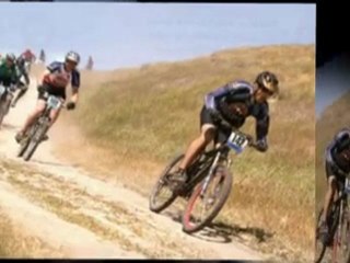 Expert Bicycle Store in Sydney