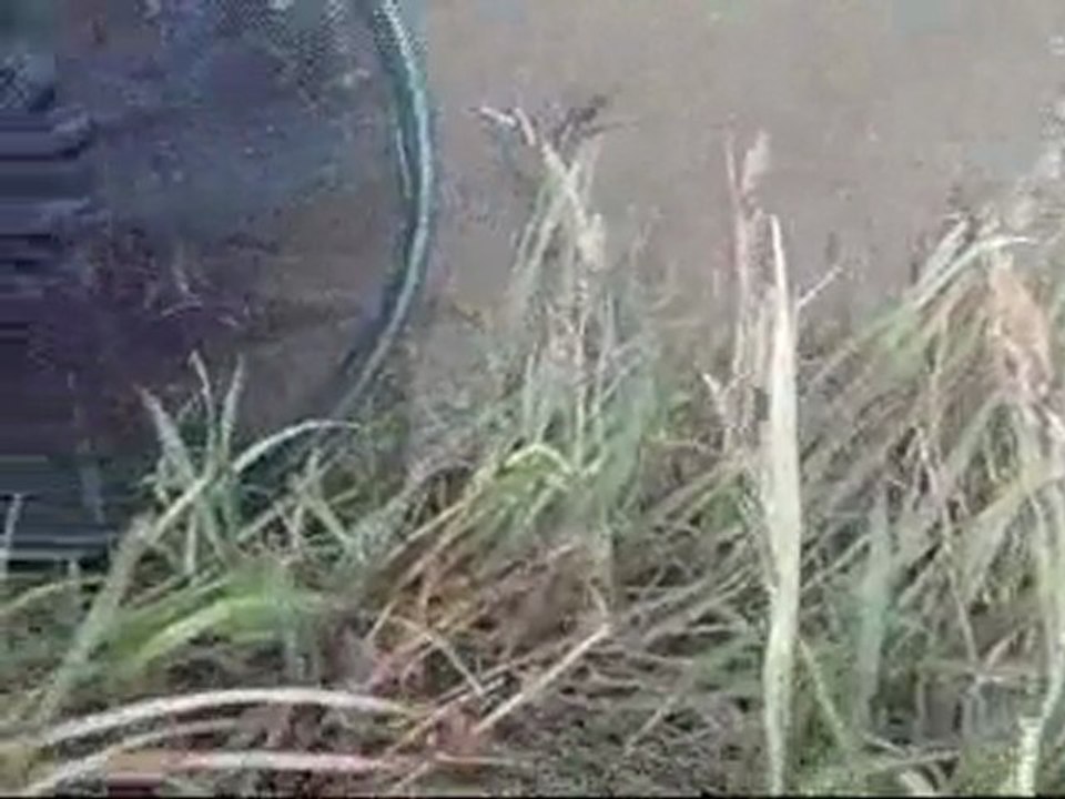 pêche au coup en etang