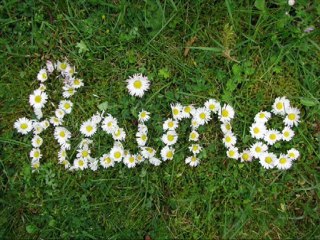 Agnès Bihl - Le joli mois de mai
