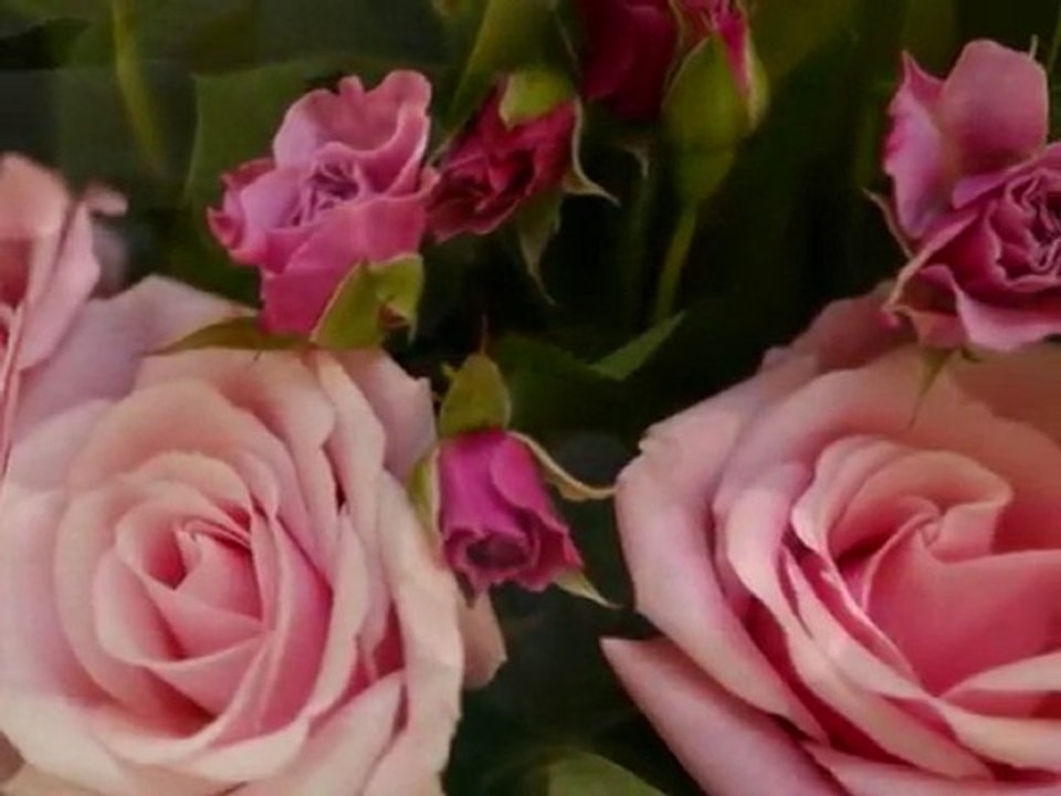 Vox angeli "Let it be " Porte Bonheur "