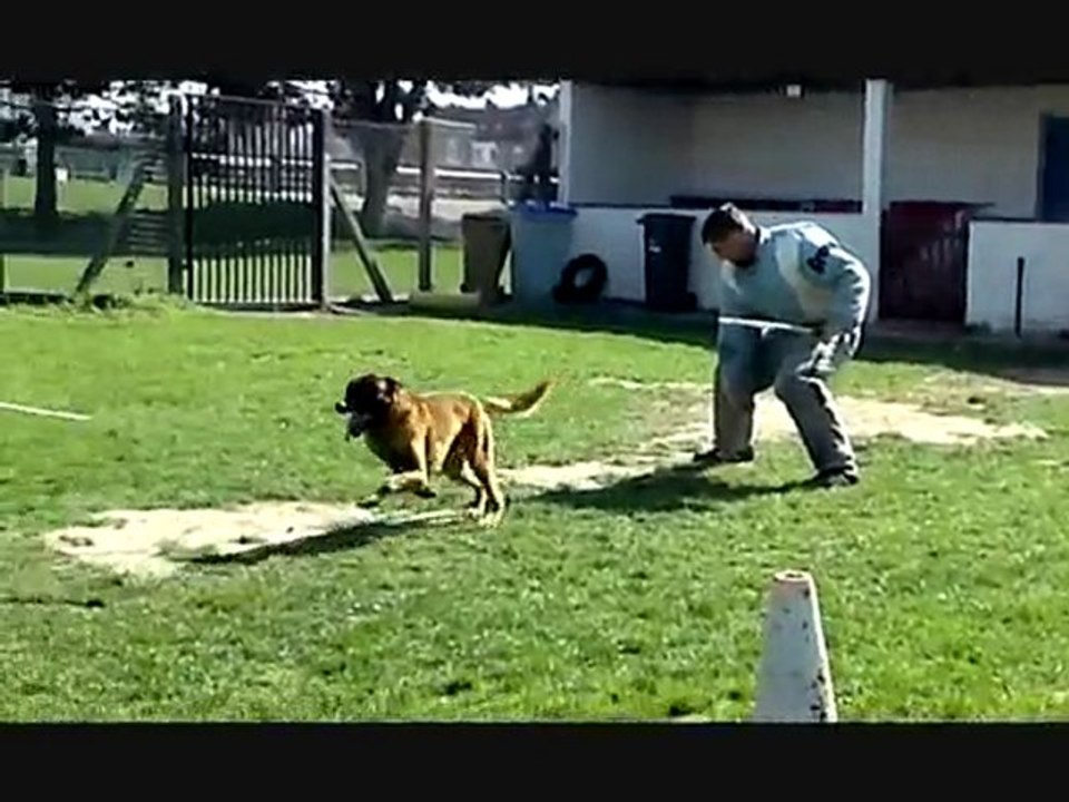 veron du calvaire aux acacias