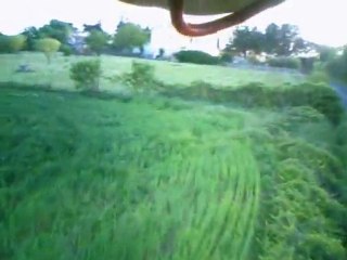 T-rex 600 VS Flycamone v2