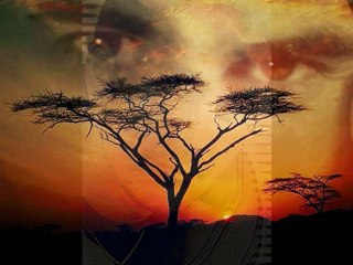 öyle sarhoş olsamki