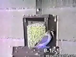 mobylette-electrique